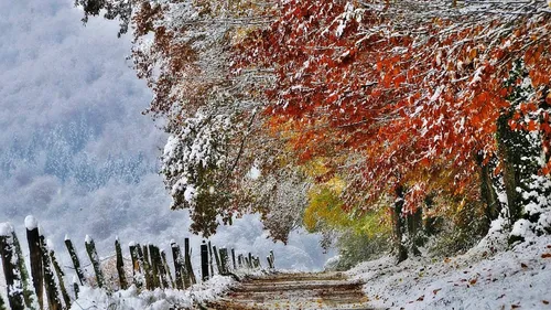 Осень Зима Обои на телефон HD