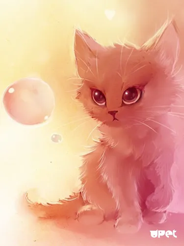Милые Фото кот с пузырем