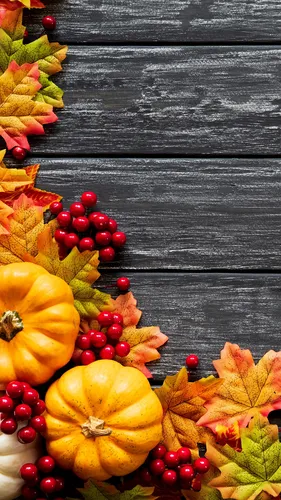 Осень Листья Обои на телефон группа фруктов на столе