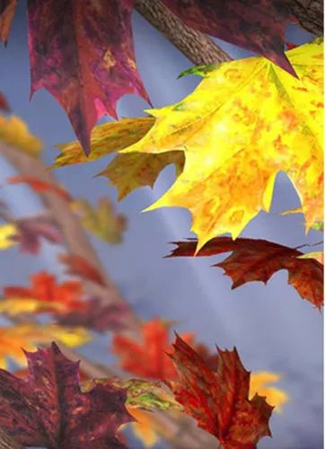Осень Листья Обои на телефон крупный план некоторых листьев