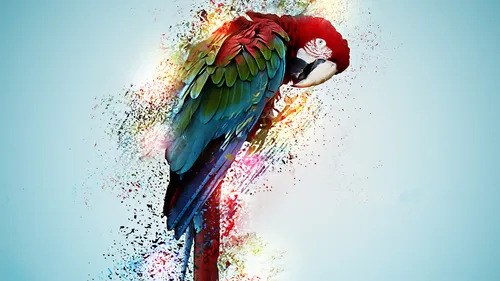 Попугаи Обои на телефон попугай в красно-синем головном уборе