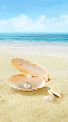 Природа Море Обои на телефон ракушка на пляже