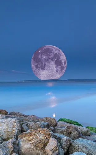 Природа Море Обои на телефон фиолетовый воздушный шар, плывущий над водоемом