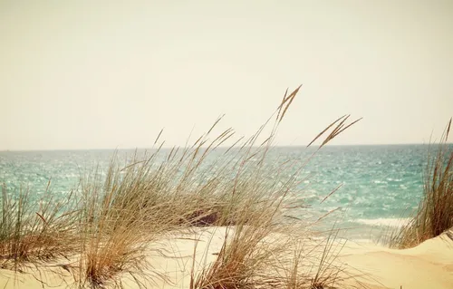 Рассвет На Море Обои на телефон пляж с высокой травой