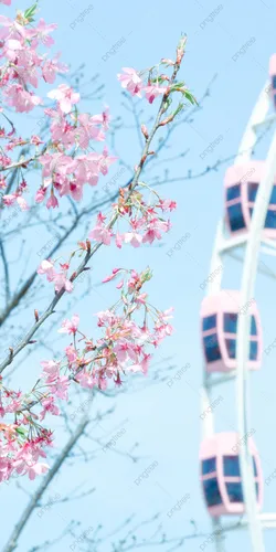 Романтика Обои на телефон розовые цветы на дереве
