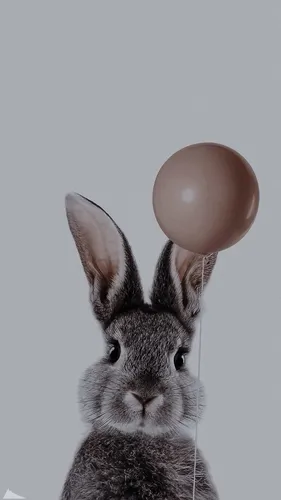 С Кроликами Обои на телефон кролик с воздушным шаром на заднем плане