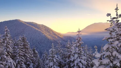 Самсунг Зима Обои на телефон снежная гора с деревьями