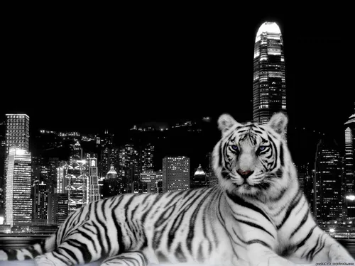 Тигренок Обои на телефон белый тигр на фоне городского пейзажа ночью