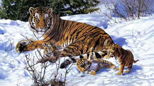 Тигрята Обои на телефон группа тигров в снегу