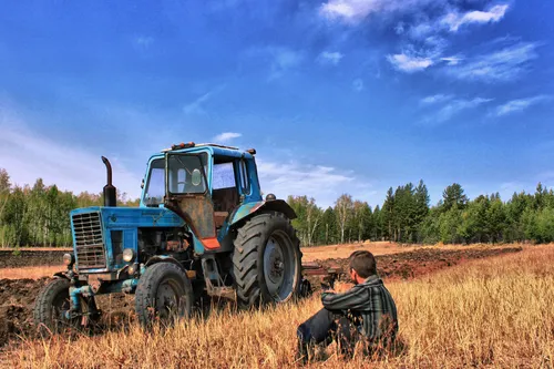 Трактора Обои на телефон человек, сидящий в поле рядом с трактором