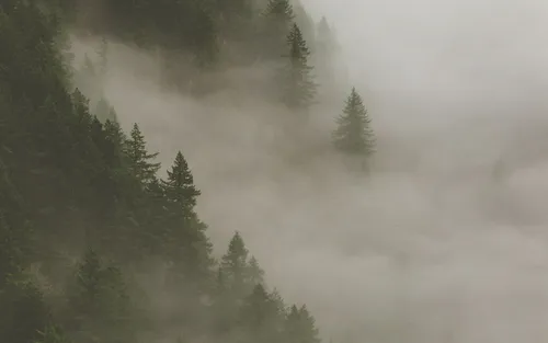 Туман Обои на телефон фото на андроид