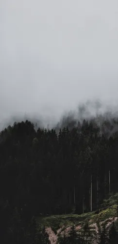 Туман Обои на телефон изображение