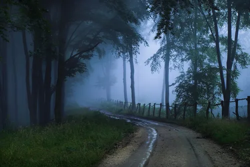 Туман Обои на телефон грунтовая дорога в лесу