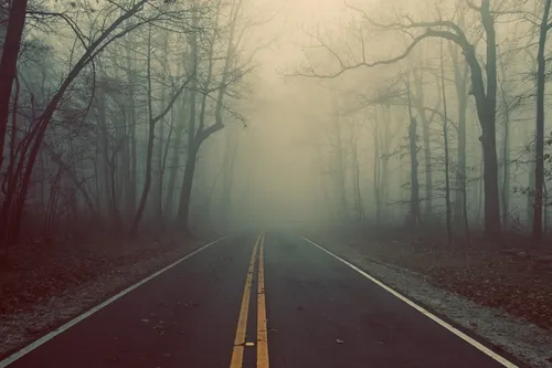 Туман Обои на телефон дорога с туманом на обочине