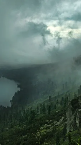 Туман Обои на телефон гора с деревьями и облаками
