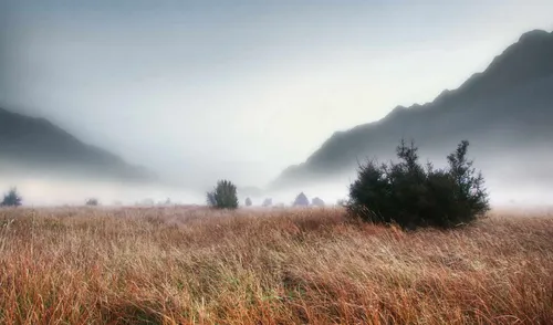 Туман Обои на телефон травянистое поле с деревьями и горами на заднем плане
