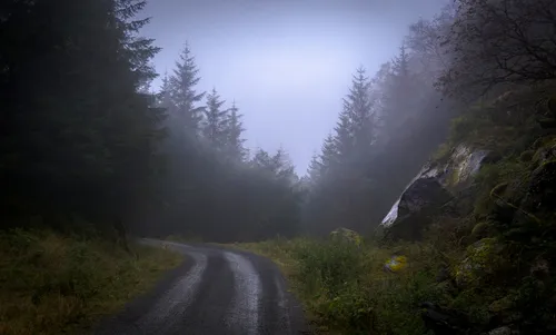 Туман Обои на телефон дорога в лесу