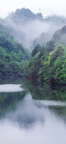 Туман Обои на телефон река с деревьями по бокам
