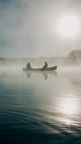Туман Обои на телефон пара уток на лодке в воде