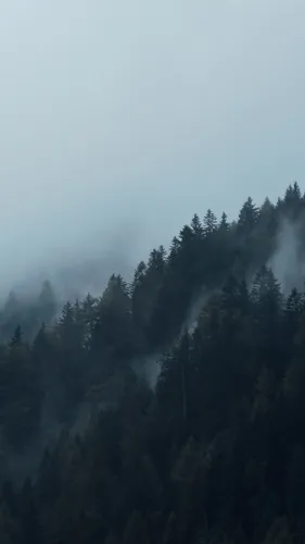 Туман Обои на телефон фото на Samsung