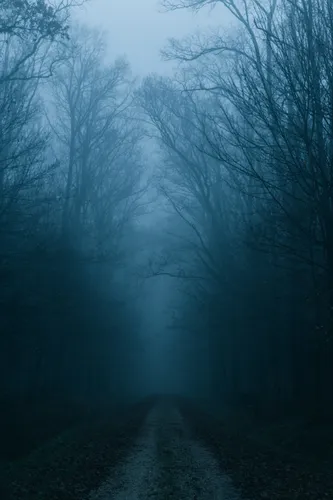 Туман Обои на телефон грунтовая дорога с деревьями по обе стороны