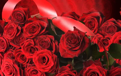 Цветы Бесплатно Обои на телефон букет красных роз