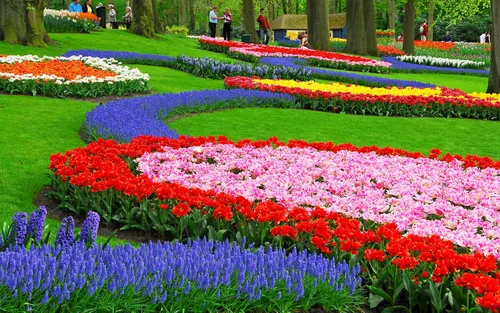 Цветы Бесплатно Обои на телефон сад ярких цветов на фоне Кёкенхофа