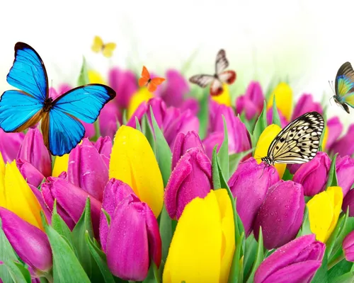 Цветы Весна Обои на телефон группа бабочек на цветке