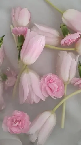 Цветы Весна Обои на телефон букет розовых цветов