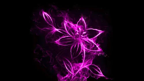 Цветы На Темном Фоне Обои на телефон фиолетовый и белый свет