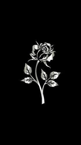 Цветы На Темном Фоне Обои на телефон черно-белое изображение цветка