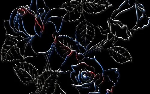 Цветы На Темном Фоне Обои на телефон заставка