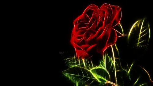 Цветы На Темном Фоне Обои на телефон красный цветок с зелеными листьями