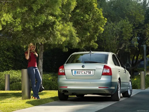 Шкода Октавия Обои на телефон человек, стоящий рядом с автомобилем