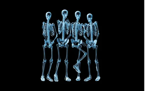 Юмор Обои на телефон группа человеческих скелетов