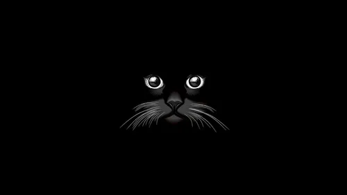 Прикольный Заставку Картинки Обои на телефон черно-белое изображение кошки с большими глазами