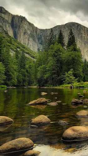Природа Hd Обои на телефон река со скалами и деревьями