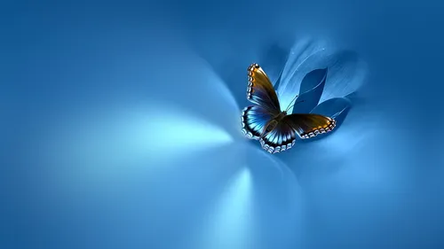 Рабочего Стола Обои на телефон бабочка, летящая в воздухе