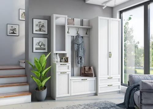 Прихожая Фото комната с белыми шкафами и растением