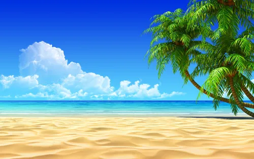 Красивые Фото пальма на пляже