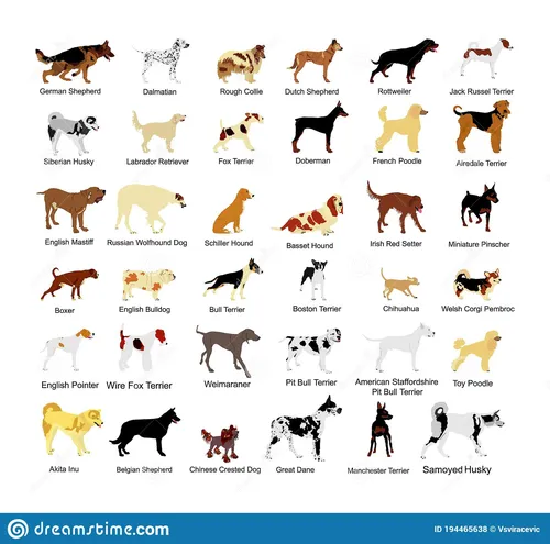 Породы Собак С Фото инженерный чертеж