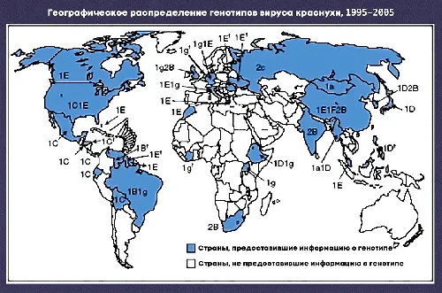 Краснуха Фото карта