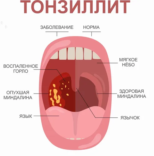 красный и черный круг с черным кругом и красный круг с черным кругом в