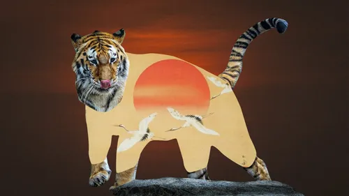 Тигра Фото тигр с сердцем