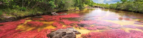 Розовый Лишай Фото река с красной водой