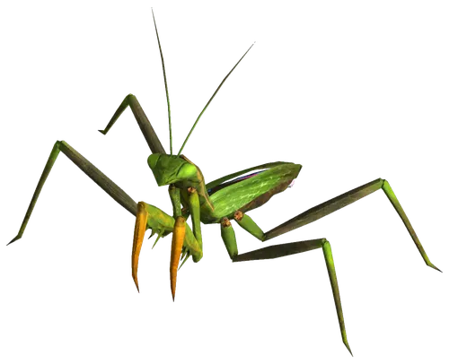 Богомол Фото зеленое насекомое на палочке