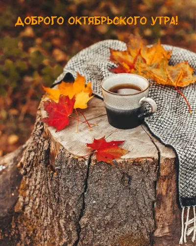 Доброе Утро Фото чашка кофе на пне с листьями вокруг