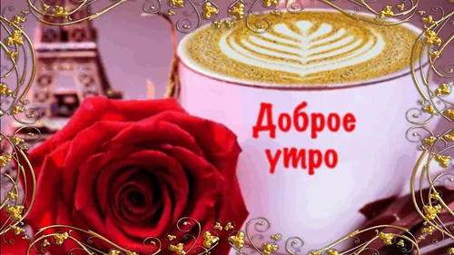 Доброе Утро Фото красная роза в белой вазе