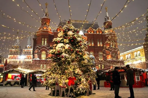 Новогодние Фото большая рождественская елка в городе