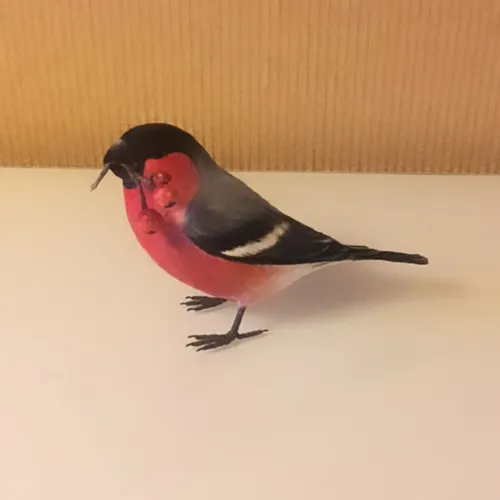 Снегирь Фото птица с рыжей головой